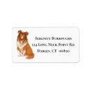 Search for lassy labels Collie