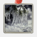 Search for creek christmas tree decorations California