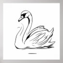Search for black swan bird posters White