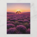 Search for heather postcards England