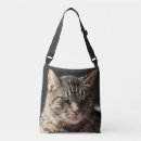 Search for tabby cat bags Meow