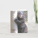Search for bear hug cards Bears