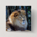 Search for mane badges Lion