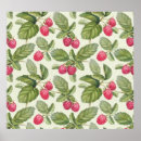 Search for raspberry posters Pattern