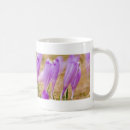 Search for crocus mugs Nature