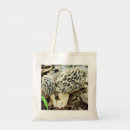 Search for morel bags Mushroom