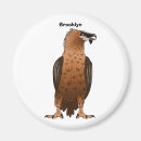 Search for scavenger magnets Bird