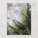 Search for party reminder postcards White