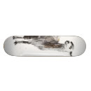 Search for llama skateboards Animal