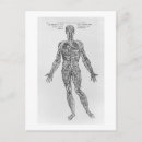 Search for condition postcards Vesalius