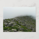Search for baxter postcards Park