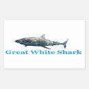 Search for shark photo stickers Fish