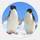 Search for penguin wedding stickers Couple