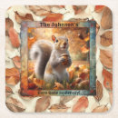 Search for funny squirrel Whimsical
