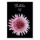 Search for placement table cards Floral