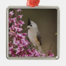 Search for black forest christmas tree decorations Bird