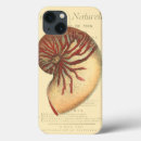 Search for conch electronics Ocean