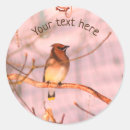 Search for winter nature stickers Wildlife