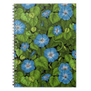 Search for morning glory notebooks Blue