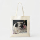 Search for jean photography Dog