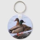 Search for mallard key rings Water