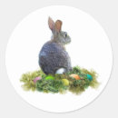 Search for cottontail stickers Easter