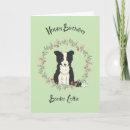 Search for colly cards For pets