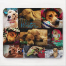 Search for everyone mousepads Cute