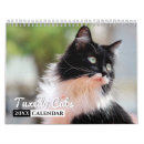 Search for black white animal calendars Kitten