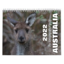 Search for wombat office supplies Australia