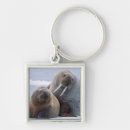 Search for sea cows key rings Animal