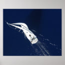 Search for bird freedom posters Beach