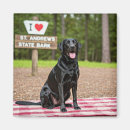 Search for state magnets Souvenir