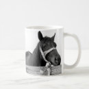 Search for brown horse mugs Photography