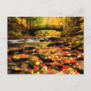Search for creek fall postcards Photography