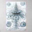 Search for vintage jellyfish posters Ocean