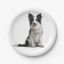 Search for border collie plates Birthday