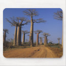 Search for avenue mousepads Nature