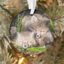 Search for red fox christmas tree decorations Animals in the wild
