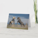 Search for like a son cards Photography