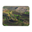 Search for arable Slope