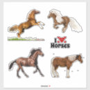 Search for white pony stickers Horse lover