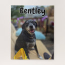 Search for dog picture puzzles Pet owners