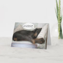 Search for dog get well cards Humour
