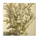 Search for sea tiles Coral reef