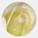 Search for rose bud stickers White