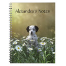 Search for dalmatian notebooks Dog