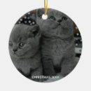 Search for grey kitten christmas tree decorations Animal