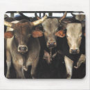 Search for cow mousepads Bull