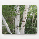 Search for birch tree mousepads Trees